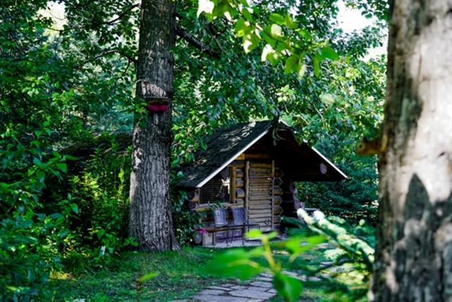 Hope Alaska'S Bear Creek Lodge Exterior photo