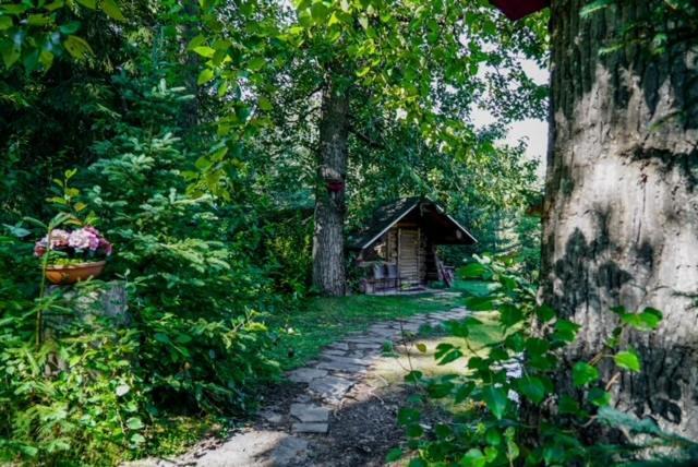 Hope Alaska'S Bear Creek Lodge Exterior photo